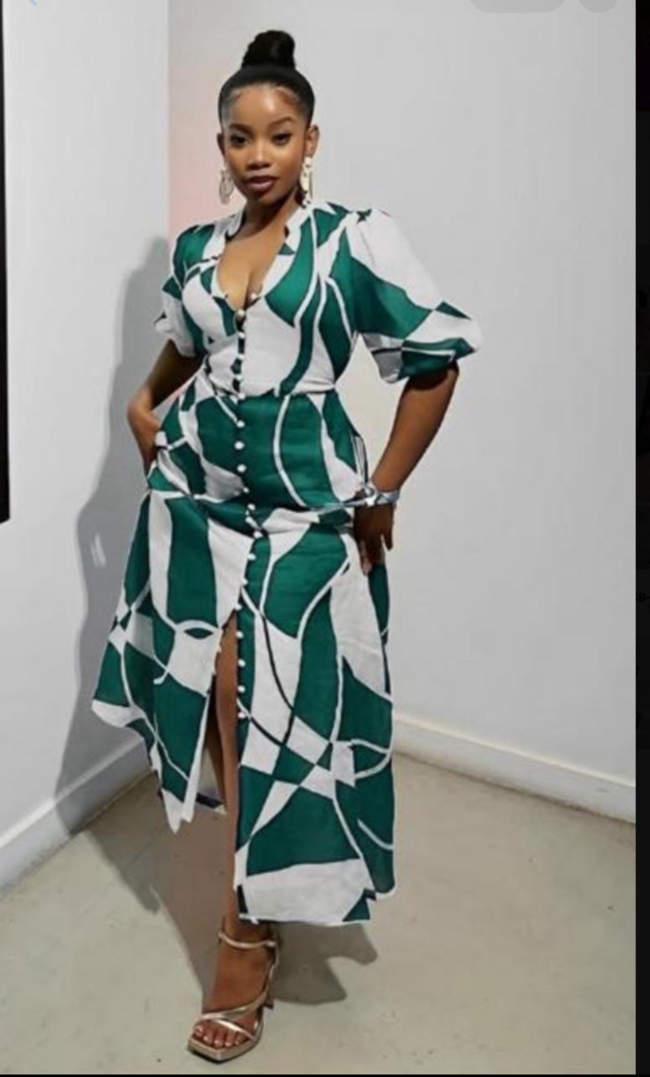 Ladies Floral Printed Dress