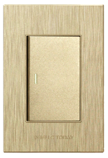HELLO TODAY 1Lever Switch Gold Design 2×4