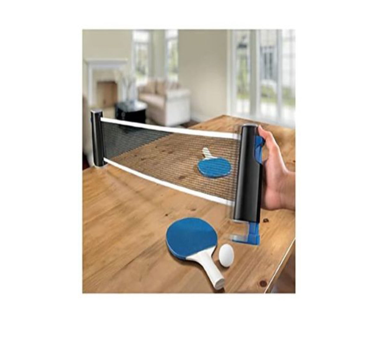 Table Tennis Ball and Net Combo