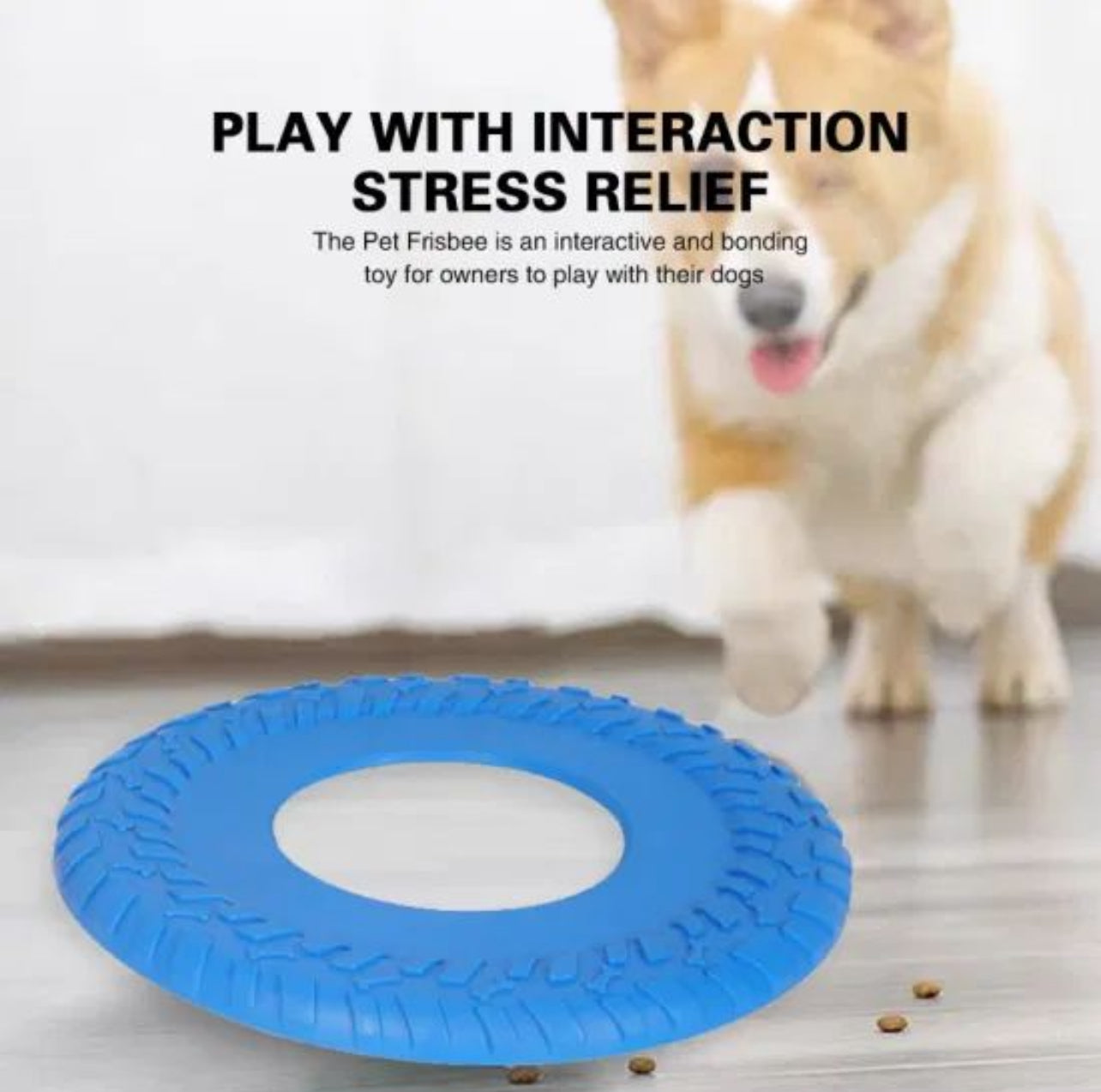 Pet Frisbee