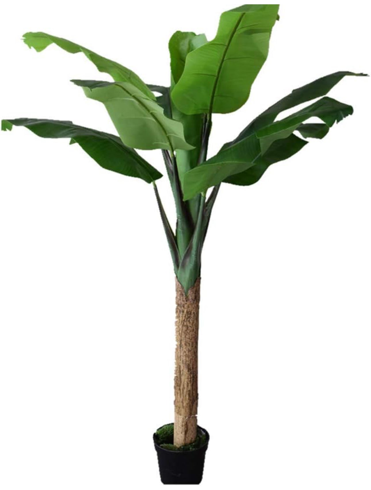 Artificial Banana Tree - Crack Banana Tree - Artificial Plant Floor (with Pot),2.5M