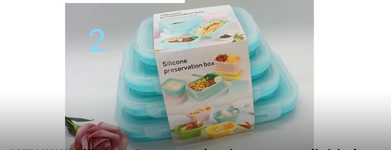 Foldable Silicone Food Storage Containers Microwave and Freezer Safe Collapsible Easy to Carry Indoor and Outdoor (BLUE or PINK) 4pc Set