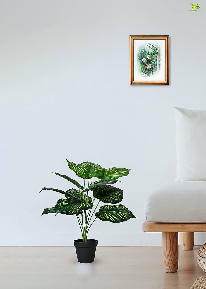 Artificial Calathea Orbifolia Plant for Home Decor/Office Decor/Gifting | 50cm