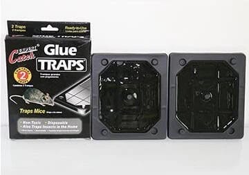 Mouse Glue Tray