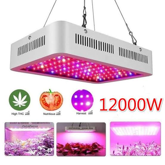Grow Light 600w