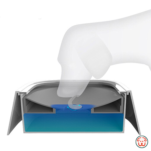 Pet bowl - MAGIC BOWL™ - for dogs and cats - White - Adult