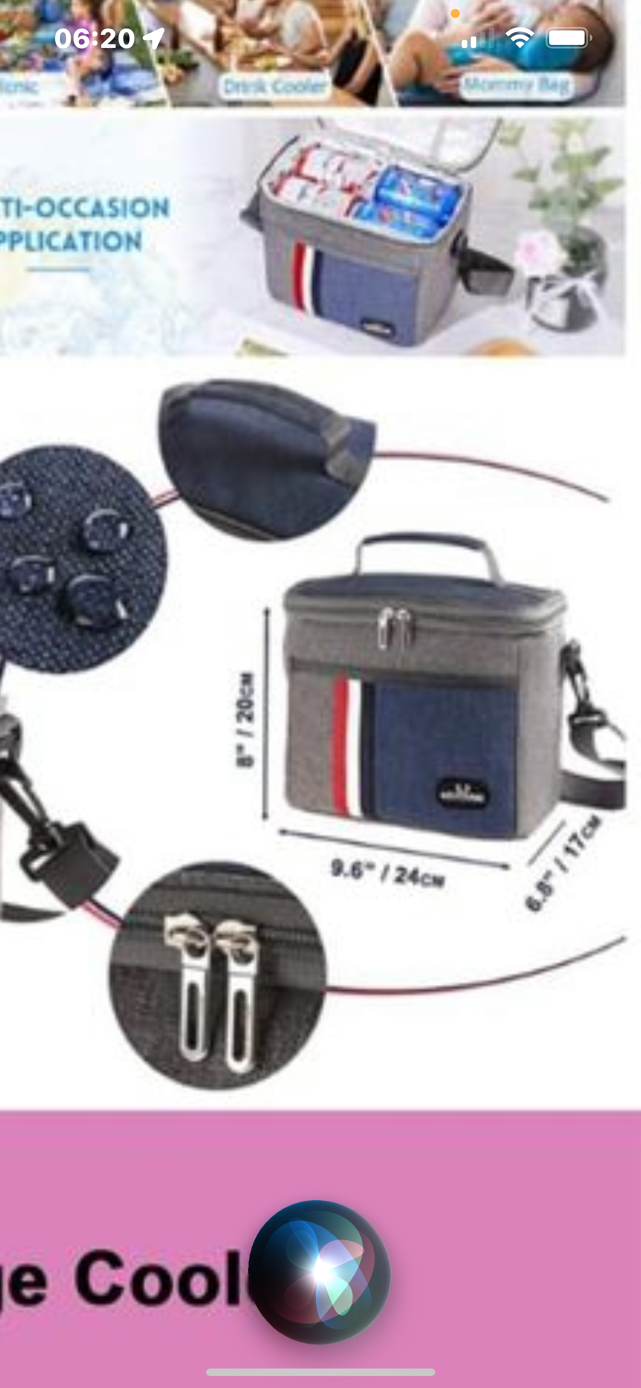 Insulated Lunch/Cooler Box