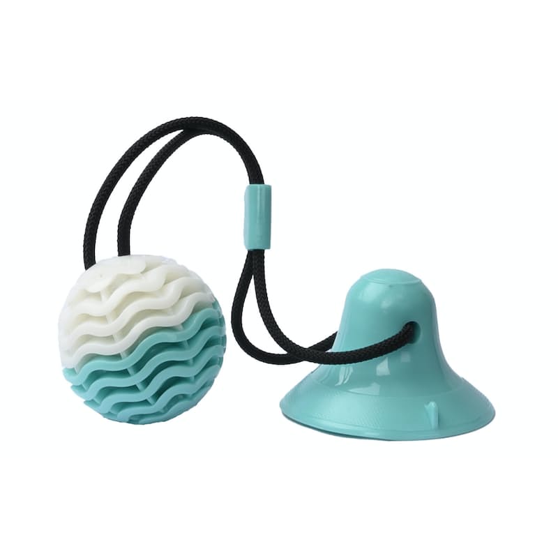 Dog Chew Toothbrush Toy