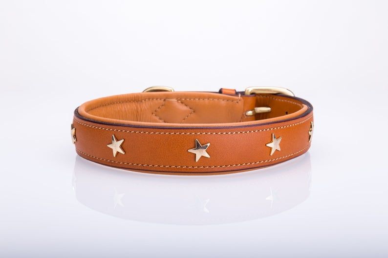 Dog Collar Heavy Duty