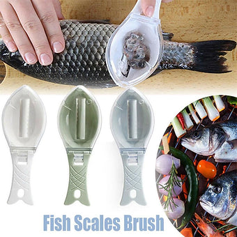 Fish Scale Remover with Clear Cover for Kitchen – Megamall Online Store