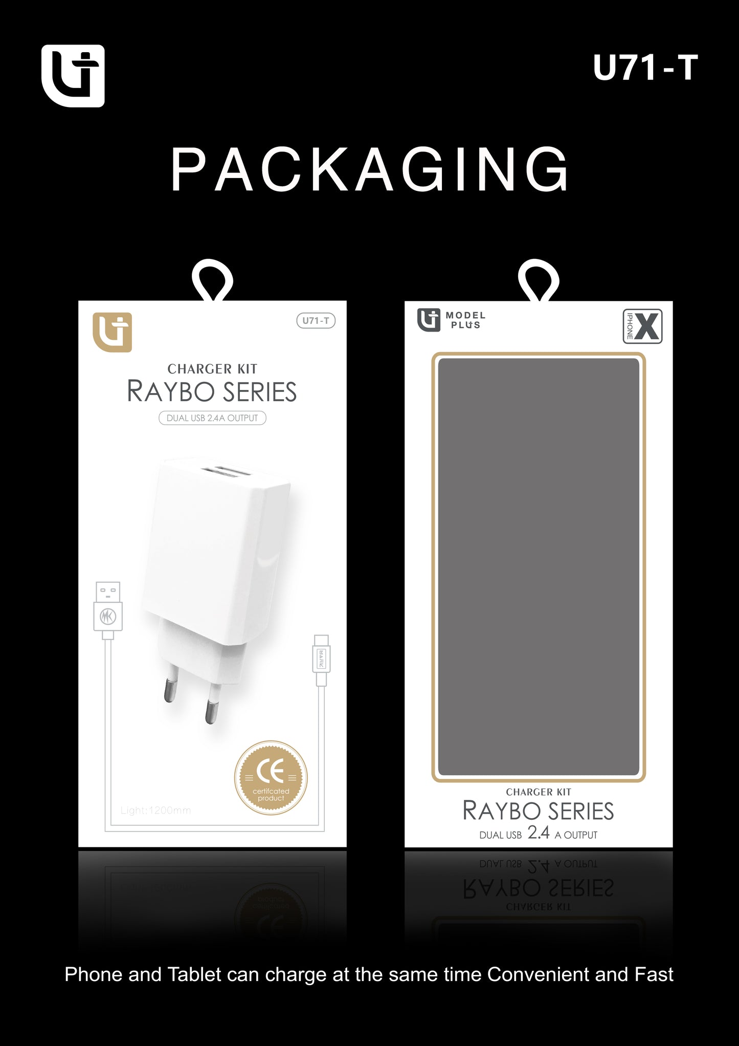 Dual USB 2.4A Charger Kit
