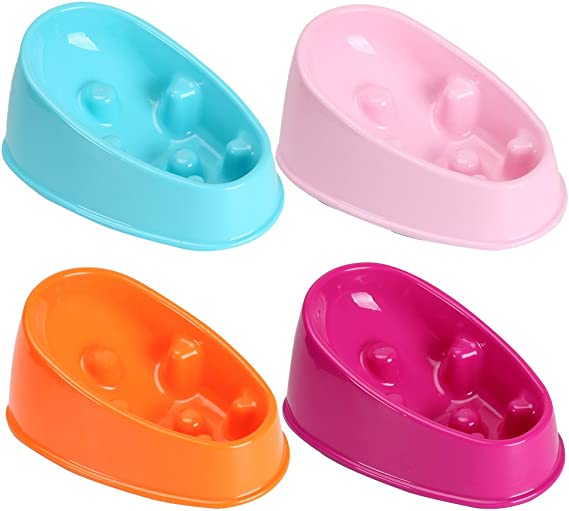 Dog Slow Feeding Bowl