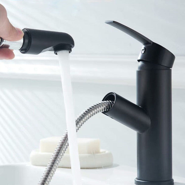Basin Faucet with pull out sprayer