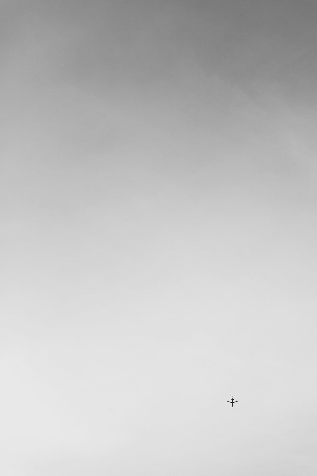 a plane flying in the sky