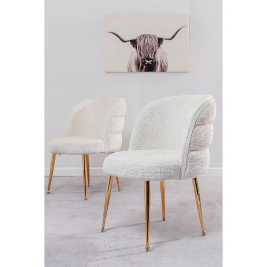 Elegant Dining Or Accent Chair 2pc Set - Various Options Available