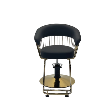 Styling Salon Chair With Footrest Black/Gold or Grey