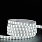 Super Bright LED Strip COB Lights 12v - Various Colours Available.
