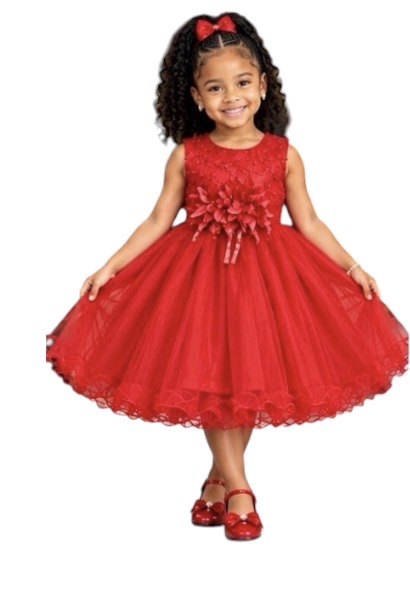 Young Girls Elegant Dress-Various Options