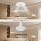 Modern Fan /Ceiling Fan Light With LED/Aromatherapy