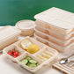 Compostable Cornstarch Takeaway Container with Lid - Eco-Friendly 5 - Compartment Box/ Pack 50pc