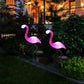 Flamingo Statue Solar Garden Light