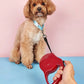 Retractable Dog Leash 3M