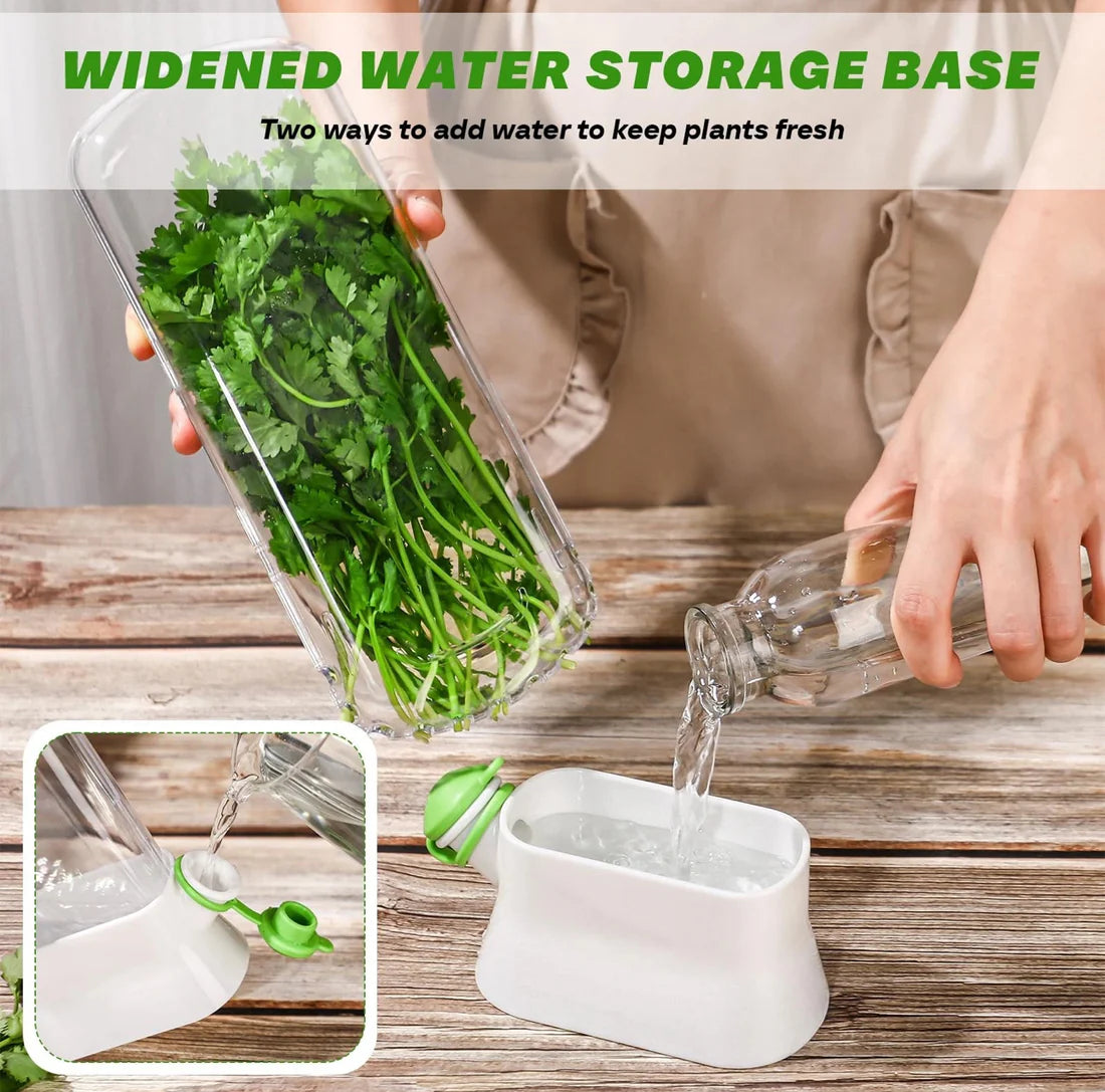 MHome Fresh Herb & Vegetable Preserver Pods – Extend Fridge Freshness Longer