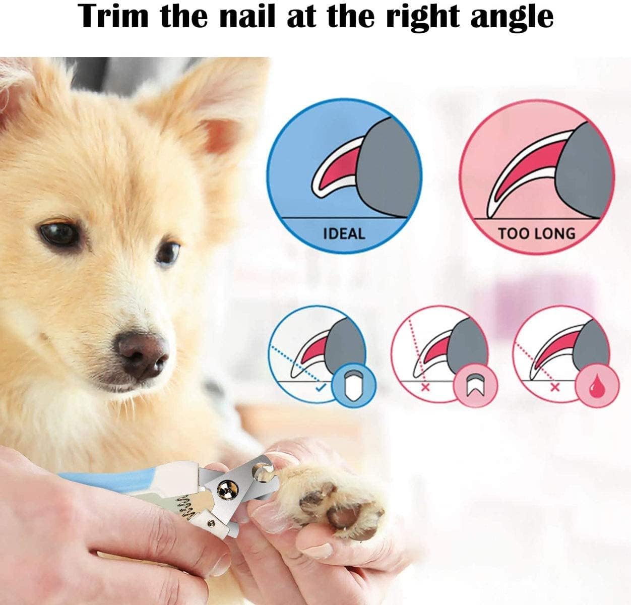 Pet Nail Clipper and File Set – Safe Grooming for Dogs, Cats & Small Pets