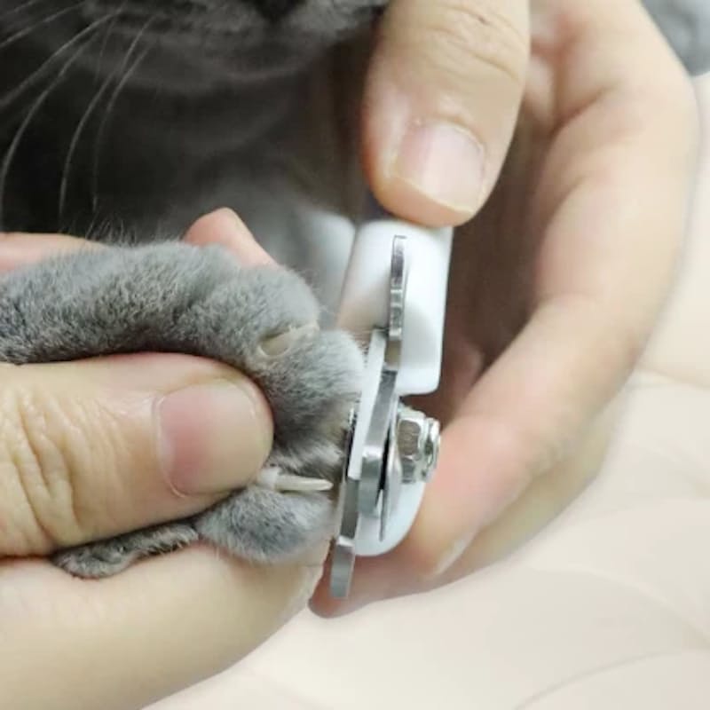 Pet Nail Clipper and File Set – Safe Grooming for Dogs, Cats & Small Pets