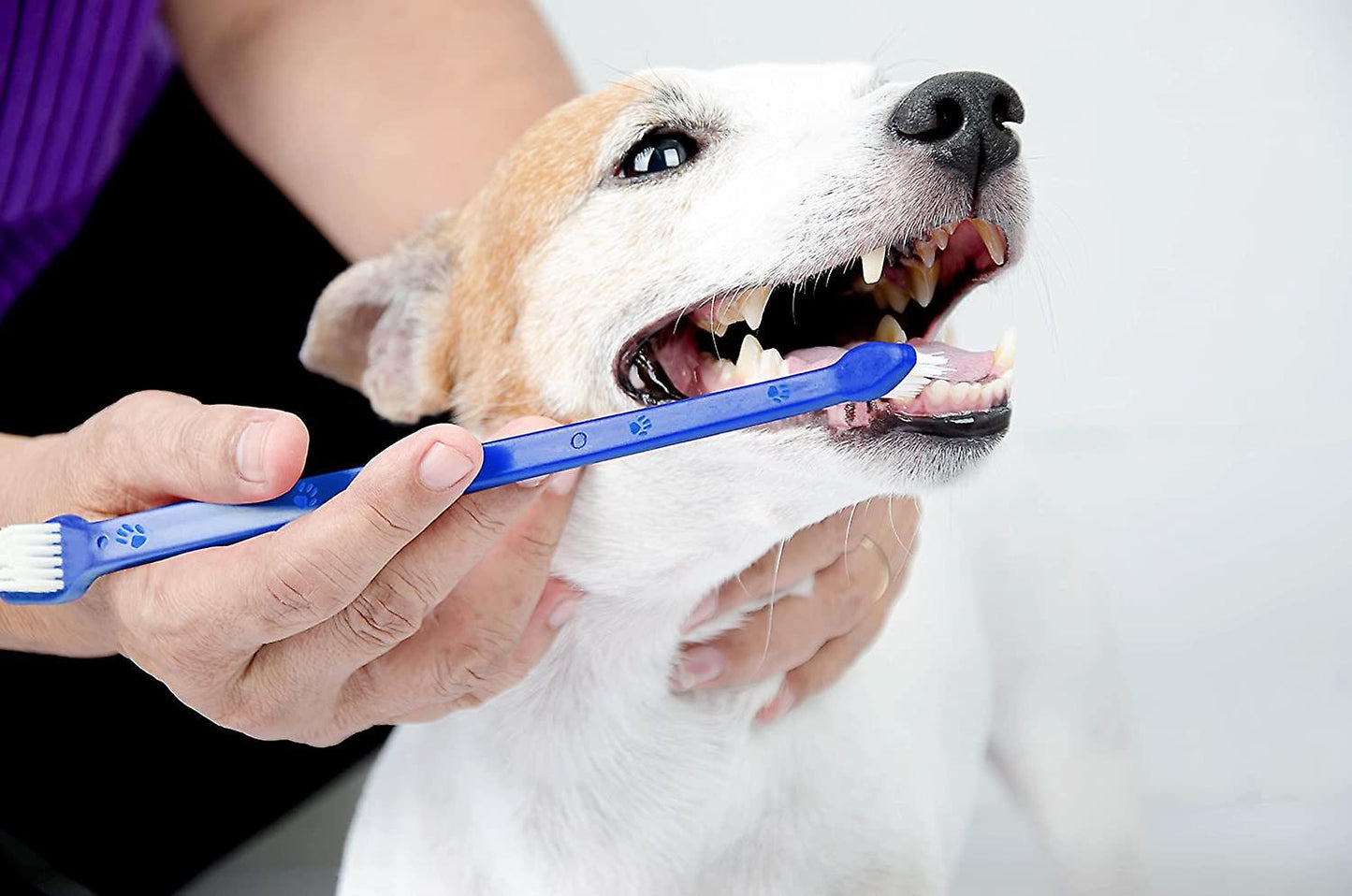 3pc Pet Double Sided Canine Dental Hygiene Brushes