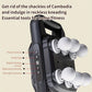 Deep Tissue Muscle Gun 6 Head