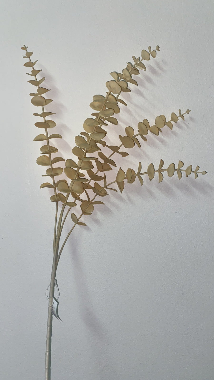 Artificial Eucalyptus Stem In Gold Or Silver