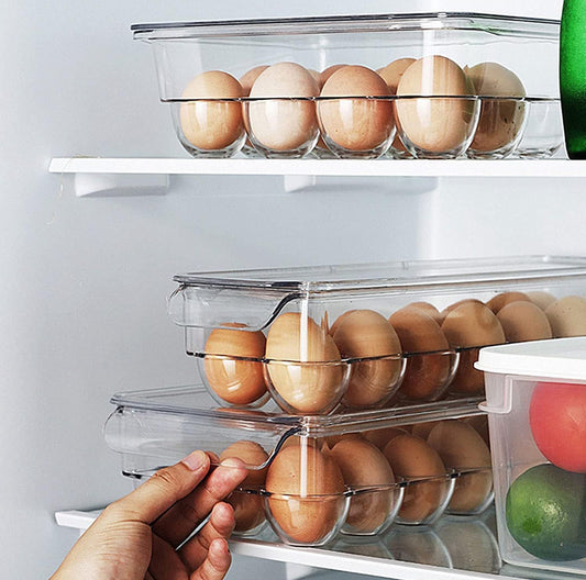 Egg Storage Organiser/Tray 12 Slots
