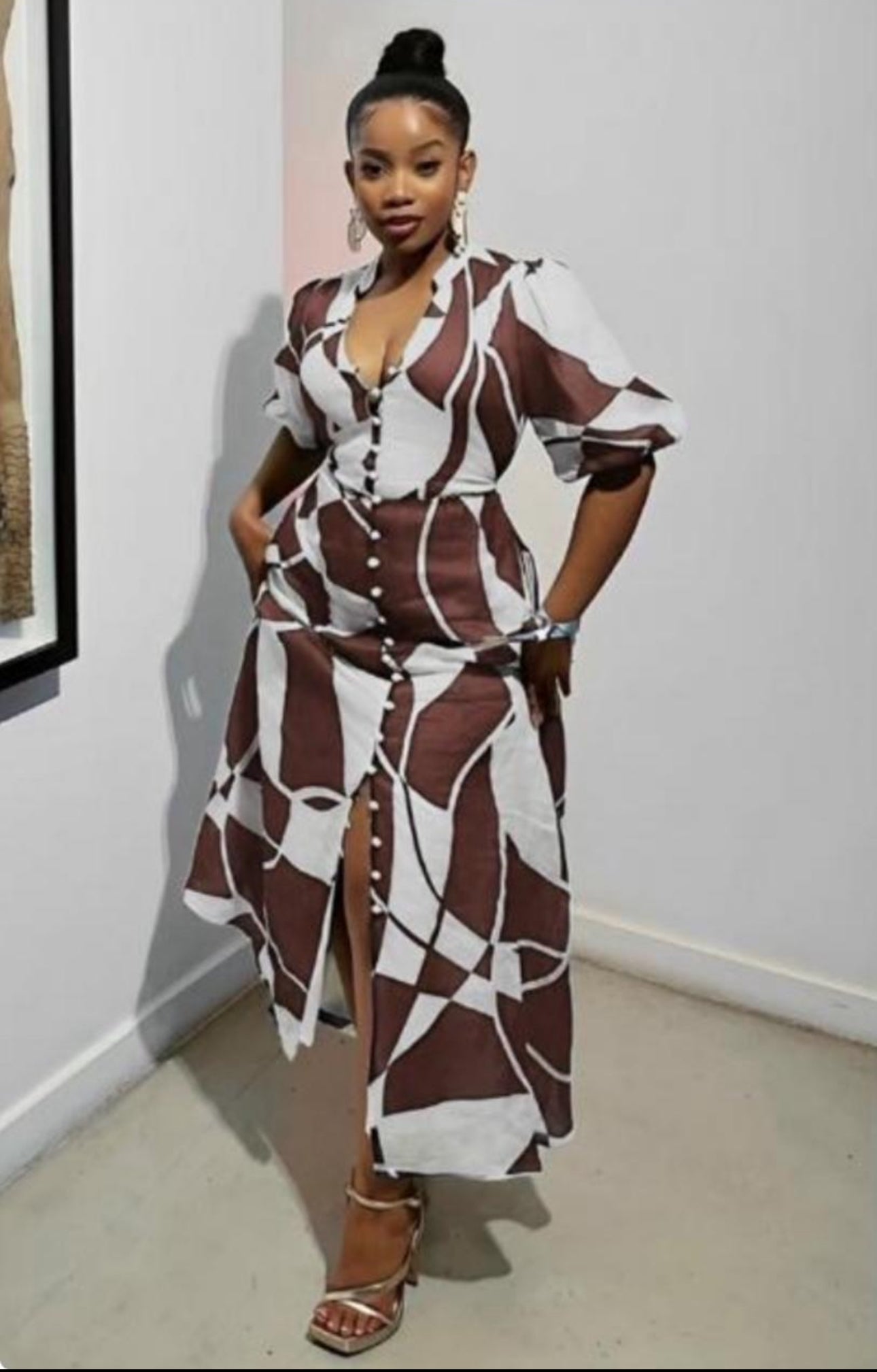 Ladies Floral Printed Dress