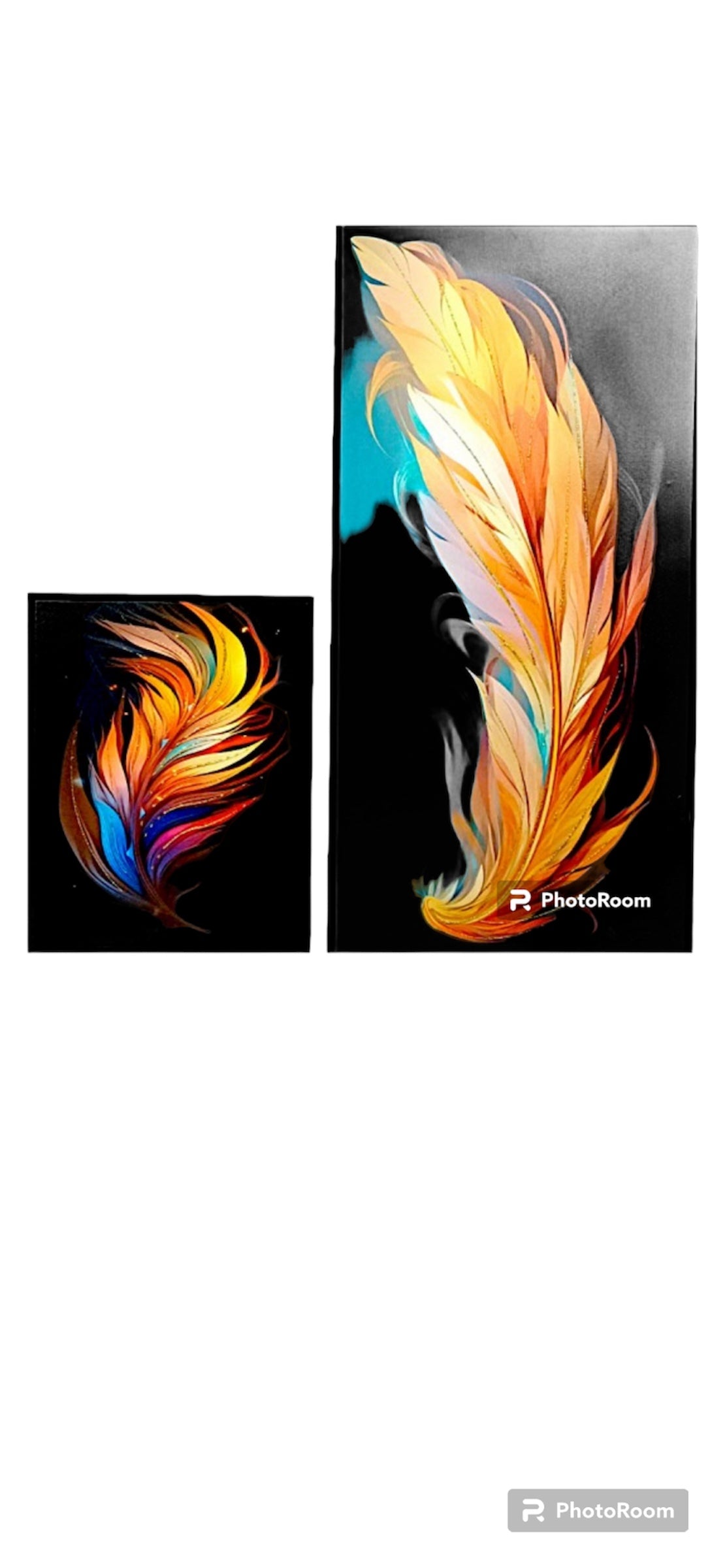 Brilliant Colourful Feather Themed Canvas Art Frame - 2pc Set