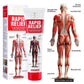 AICHUN BEAUTY | Rapid Relief from muscle and joint pain 100ml