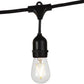 Festoon String Outdoor Globe Lights Various Options