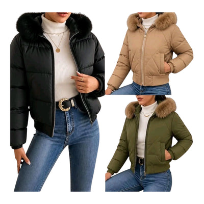 Ladies Winter Puffer Jackets - Various Colours