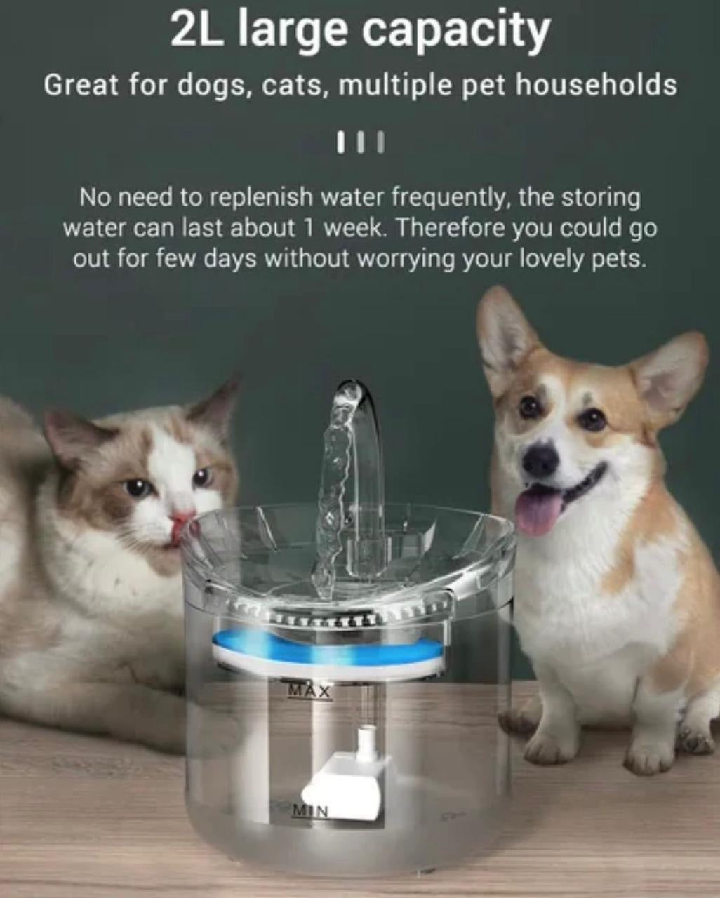 Pet Water Fountain