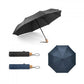 Foldable Umbrella