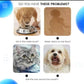 Pet Dog/Cat Water Drinking Bowl Slow Water Feeder No Spill Anti-Overflow