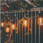 MTech Lighting 10 LED Festoon Vintage Bulb String Lights - 5m Solar Panel