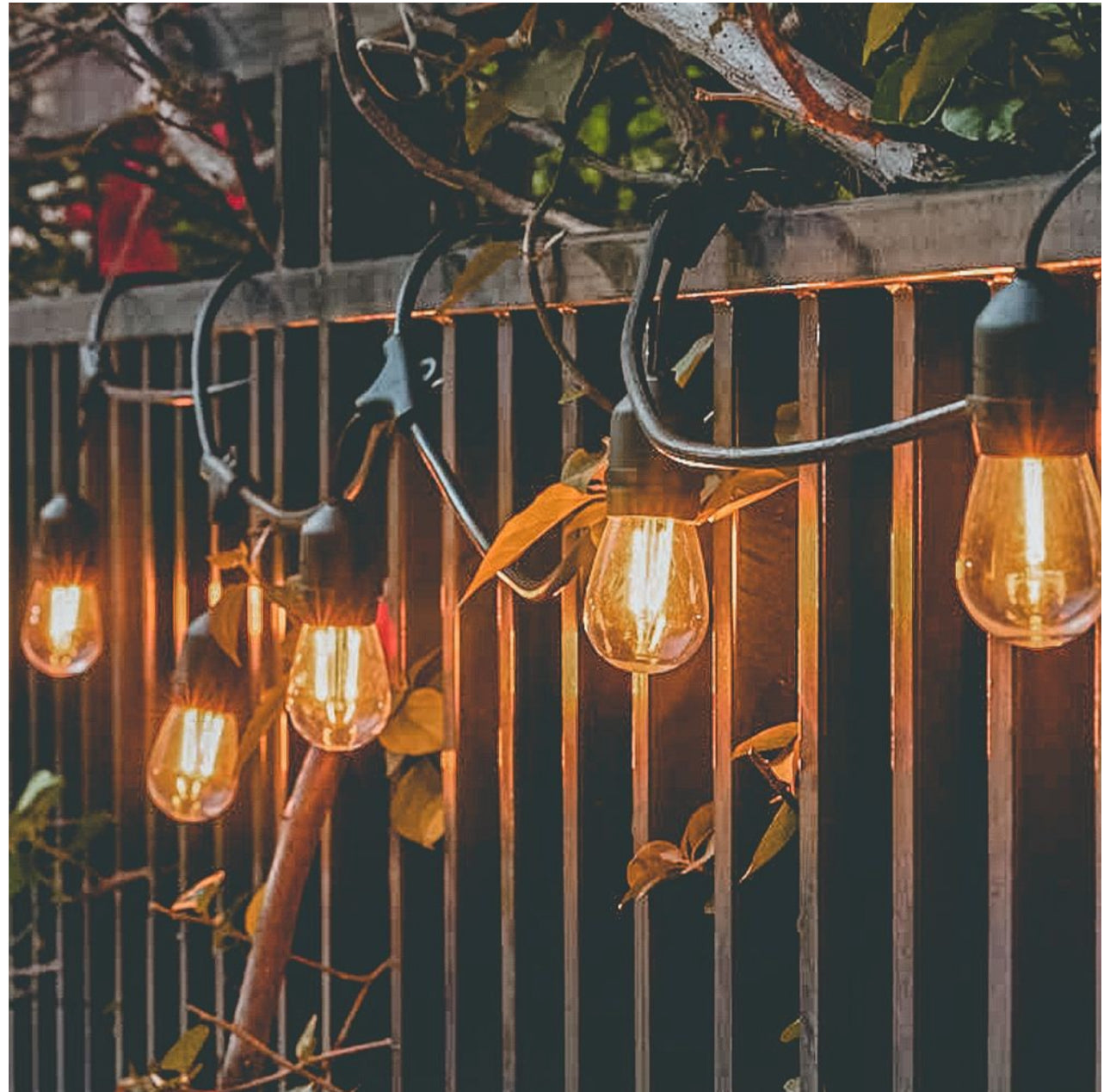 MTech Lighting 10 LED Festoon Vintage Bulb String Lights - 5m Solar Panel