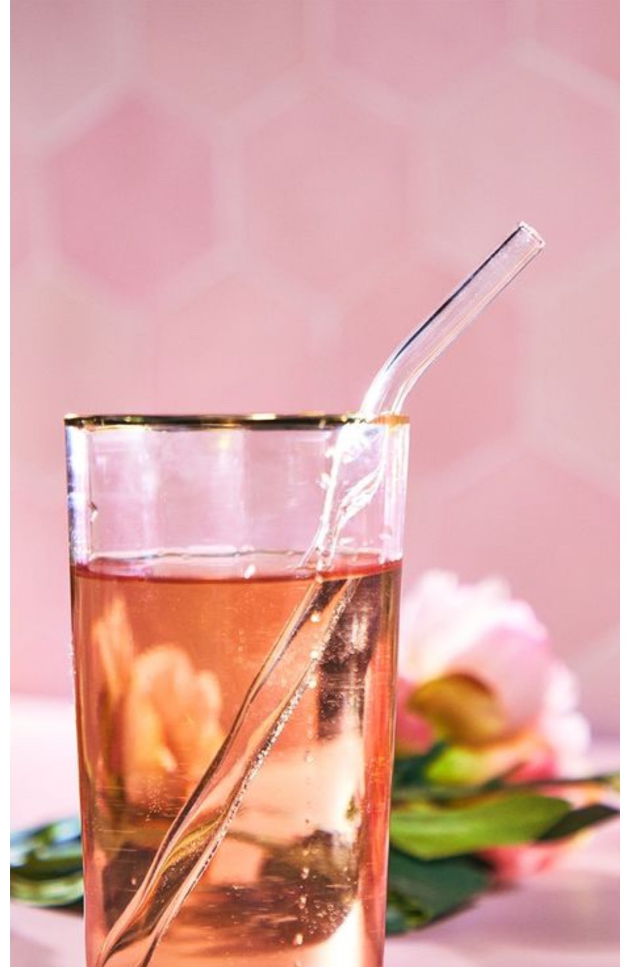 Reusable Glass Straws & Brush 5pc Set