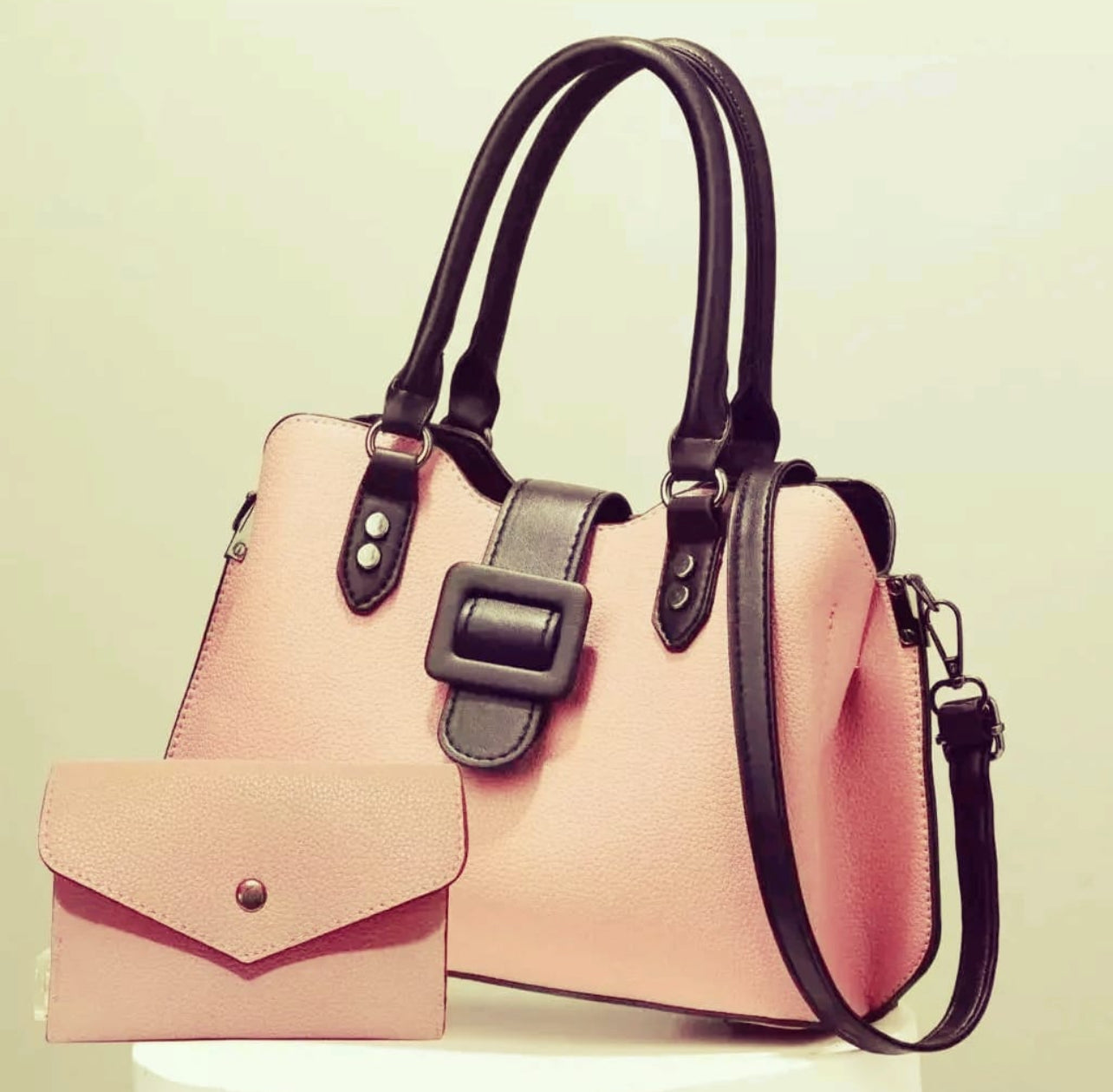 Ladies Elegant 2pc Handbags