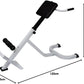 MSportz Adjustable Roman Chair / Hyperextension Bench