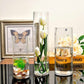 Trendy Narrow Glass Vases