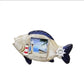 Nautical Ocean Themed Photo Frames- Various Options