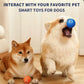 Petz Interactive Smart Play Ball - Various Options