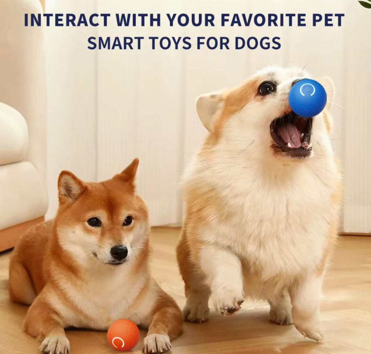 Petz Interactive Smart Play Ball - Various Options